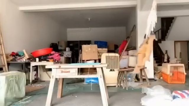 Хозяин ушел на работу и поставил дома камеру . смотреть онлайн