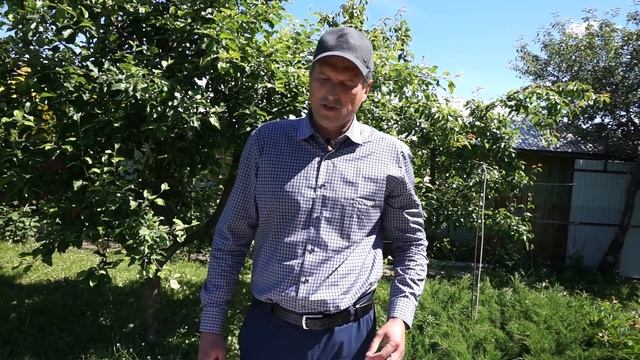 Удобрение (подкормка) сада смотреть онлайн