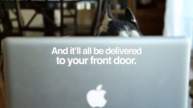 Когда нет хозяев дома:) смотреть онлайн