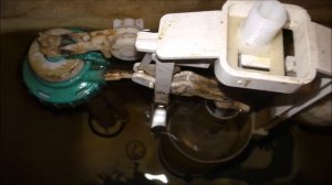 Течет унитаз, что делать? Вариант 1 - сломался поплавок