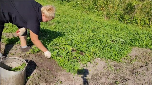 Всё по фен шую! Ремонт в доме. смотреть онлайн