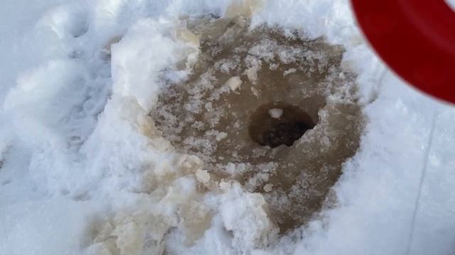 Рыбалка в Питере смотреть онлайн