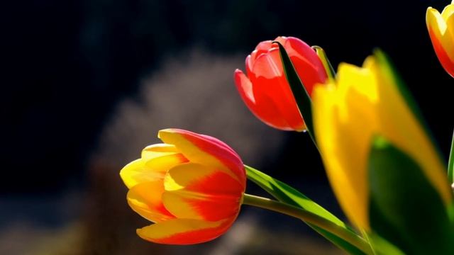 РАДОНИЦА-2022. Родительский день. Что нельзя делать в этот поминальный день. Народные традиции. смотреть онлайн