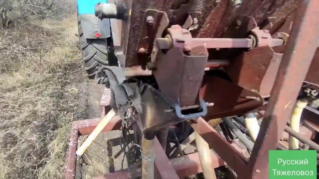 Лошади в сгоревшем лесу.| кострец безостый кормовая культура. смотреть онлайн