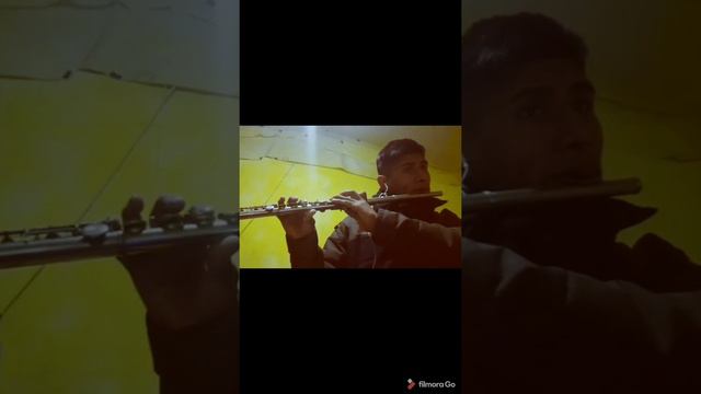 My Heart will Go On (Titanic) - Flauta Traversa covers смотреть онлайн