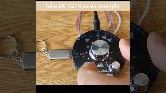 DIYMORE ZK-R21E Cool Sound Volume Indicator Bluetooth Audio Function Module 50WX2+100W смотреть онлайн