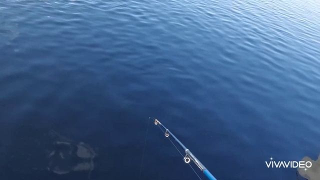 Рыбалка с пирса. Продолжение, техника ловли. смотреть онлайн