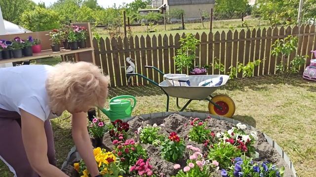 Самая красивая  клумба. Самый красивый цветник на даче.