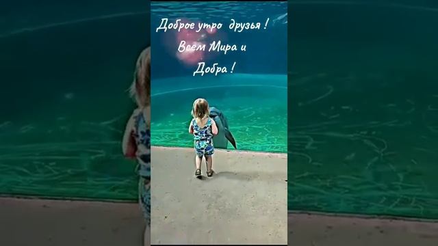 Девочка и Дельфин смотреть онлайн