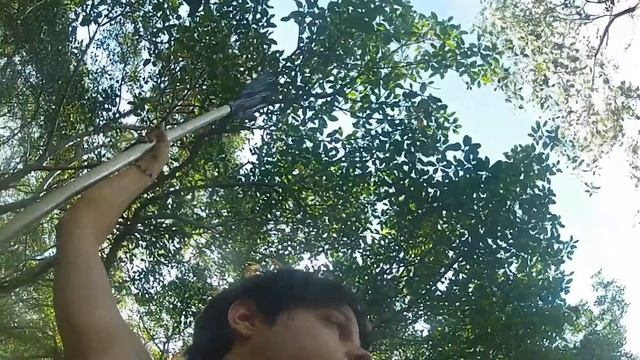 Мангровые заросли-Рио \ Manguezal de Guaratiba - RJ смотреть онлайн