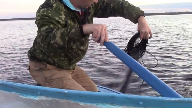 Рыбалка В Карелии Сетями На Белом Море| Без Затрат смотреть онлайн