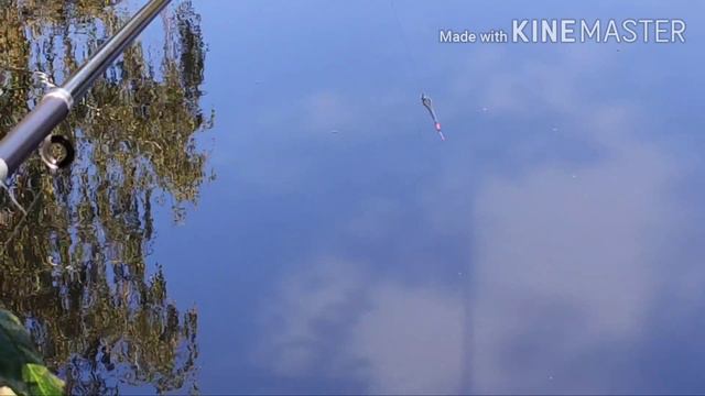 Рыбалка на поплавочную удочку на реке Свислочь смотреть онлайн