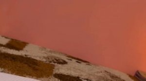 заставки новые приключения котинет