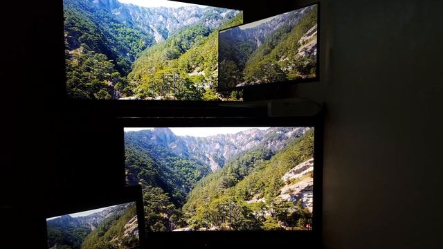OLED vs Plasma vs CRT vs IPS side by side. Picture quality comparison. Settings for each. смотреть онлайн