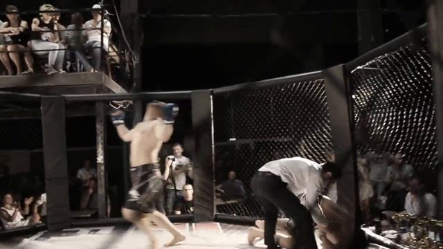 Бои белых воротничков 29.07.2017