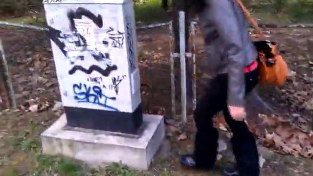 Девојките со скршенио чадор смотреть онлайн