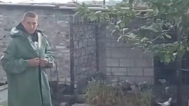 ГРОЗОВОЕ НЕБО И ПОЭЗИЯ смотреть онлайн