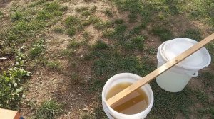 Спиртовая настойка для пчел