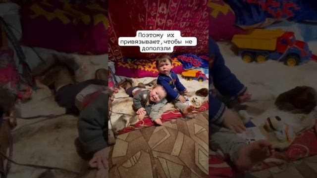Как дети живут в чуме оленеводов в тундре смотреть онлайн