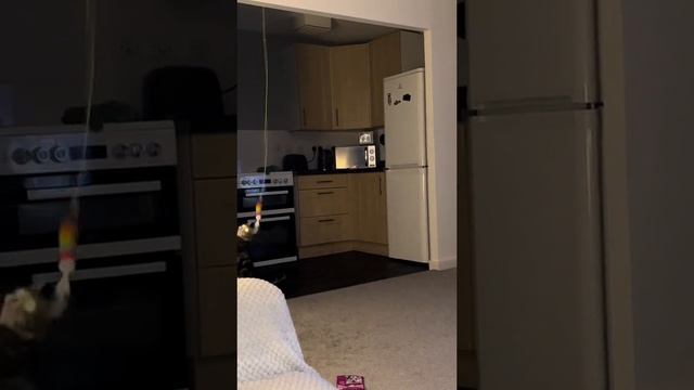 1000002214.mp4 смотреть онлайн