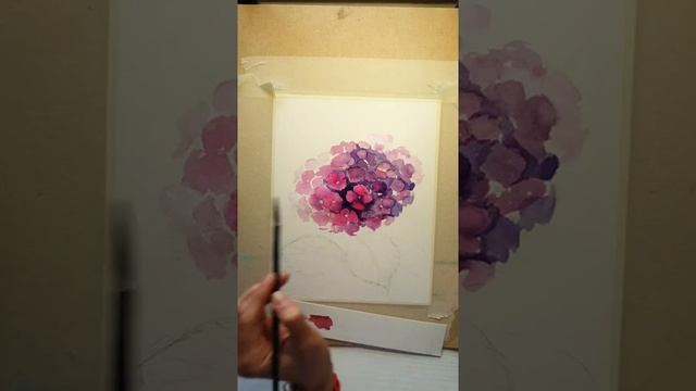 Рисуем гортензию акварелью смотреть онлайн