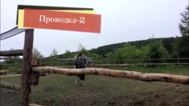 Мягкое воспитание лошадей2 смотреть онлайн