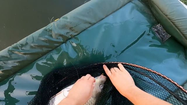 НЕПРЕДСКАЗУЕМАЯ ОСЕННЯЯ ЛОВЛЯ КАРПА. Чемпионат Брянской области, в шаге от КМС... смотреть онлайн