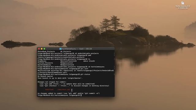 MacBook'da Terminal Komutları ile Yerel Git Dosyasına Kayıt ve Koruma Sağlama İşlemleri смотреть онлайн