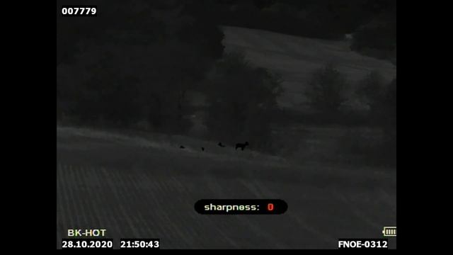 Pard SA45 LRF thermal testing settings on Fallow Deer at 200 Yards and Rabbits at 700! смотреть онлайн