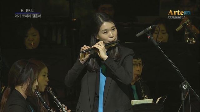 Baby Elephant walk for Piccolo 서선미리 / 린나이팝스 오케스트라 смотреть онлайн