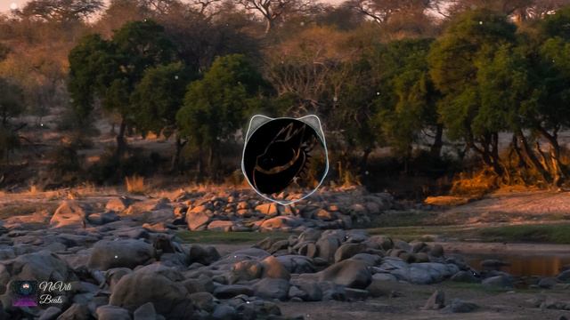 "Sleepy Savannah" | Hard Drum Trap Beat смотреть онлайн