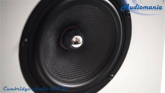 Настенная акустика Cambridge Audio WS 30 смотреть онлайн