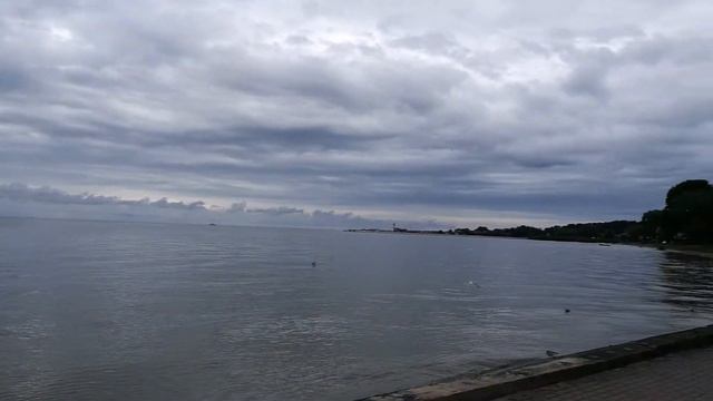 Куршcкая коса - полуостров с песчаными дюнами Национальный парк Нида Литва смотреть онлайн