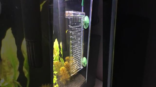 Dennerle Bio CO2 120 with Flipper 60l cube смотреть онлайн