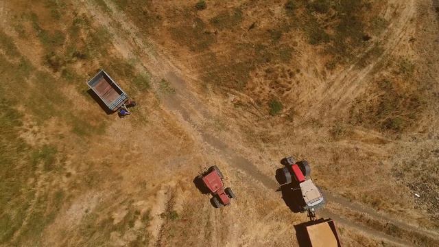 Verbumcaudo, trebbiatura 2020 смотреть онлайн