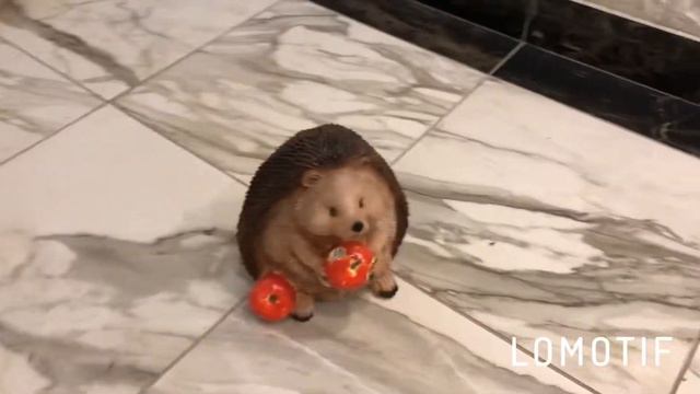 САДОВАЯ ФИГУРА ЕЖИК С ЯБЛОКАМИ Н-25СМ смотреть онлайн