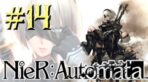 NieR: Automata ► Вознесение ► Прохождение #14
