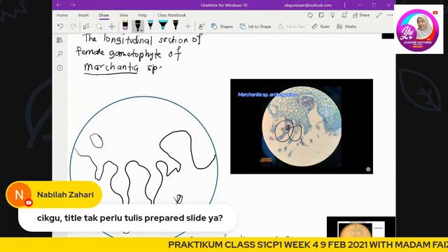 🔴 [LIVE]BIOLOGY SB025- EXPERIMENT 8- DIVERSITY OF PLANTAE BY MADAM FAIZAH KMNS смотреть онлайн