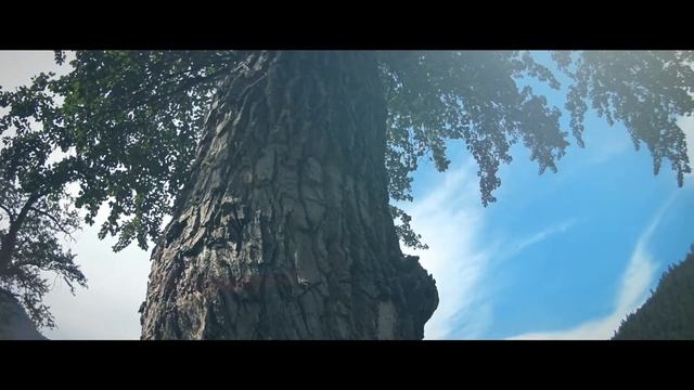 В прищуре соболиных глаз / озеро Соболиное / Хамар-Дабан / Байкал смотреть онлайн