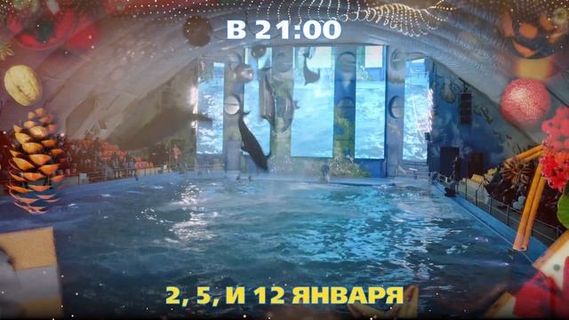 Новогоднее ночное шоу 2, 5 и 12 января смотреть онлайн