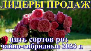 Лидеры продаж 2023 года. Чайно - гибридной  группы