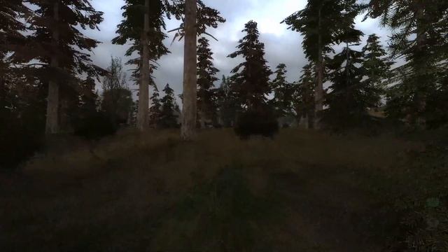 NLC 7. #3 Путешествие по лесочку смотреть онлайн