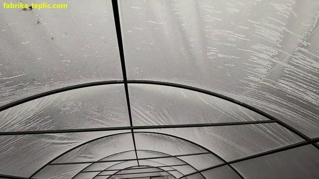 Отзыв покупательницы о теплице "Алмир". Арочная теплица под плёнкой от фабрики теплиц "Гринхаус" смотреть онлайн