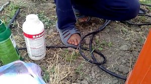 Гербицид от травы (как усилить Ураган).mp4