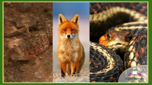 Excel 6. Module 3 (c). An unforgettable destination. p. 34