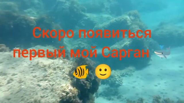 Дешевый Водонепроницаемый чехол для телефона тест, испытания в Средиземном море. Кипр смотреть онлайн