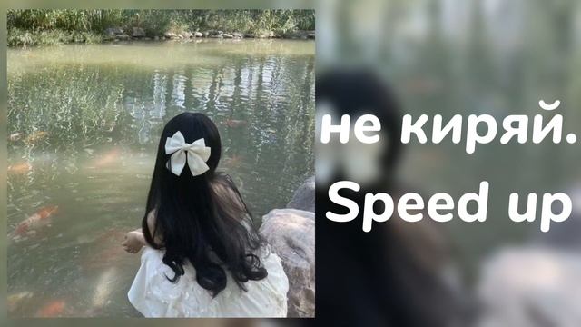 не киряй speed up смотреть онлайн