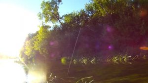 Имитация жука-лучший воблер на Голавля!