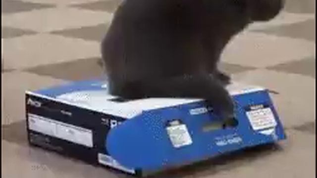 Надо платить за свет?? смотреть онлайн