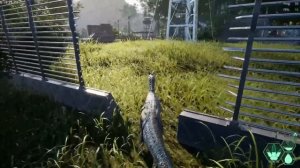 Дилофозавр - лучшее отравление в игре? [The Isle Evrima] #35